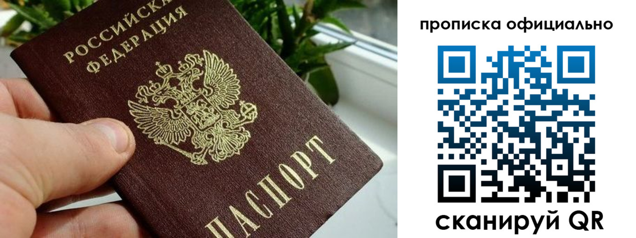 прописка поиск в Заполярном